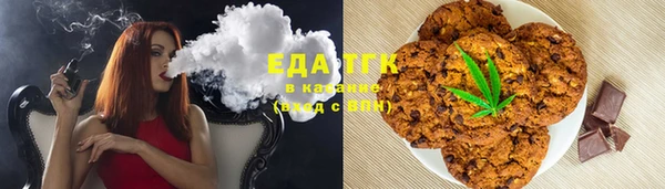 стаф Новозыбков