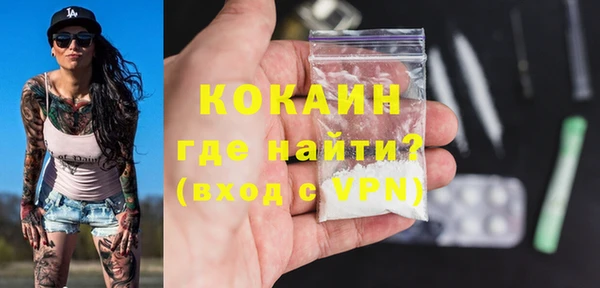 стаф Новозыбков