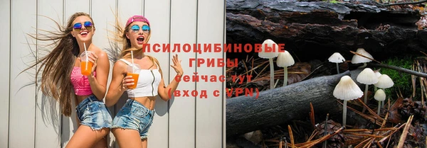 мяу мяу мука Болохово