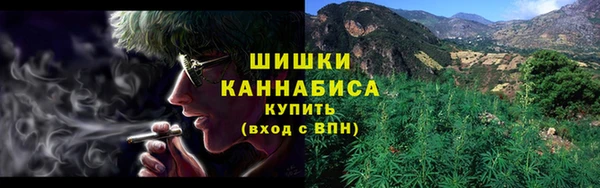 стаф Новозыбков