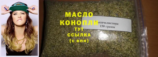 стаф Новозыбков