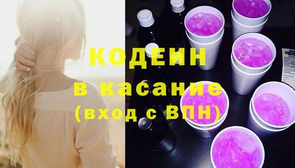 стаф Новозыбков