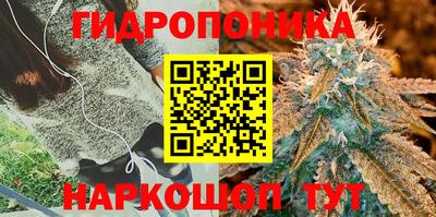 не бодяженный Кандалакша