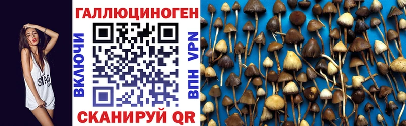 Галлюциногенные грибы Psilocybine cubensis  это наркотические препараты  Павлово  MEGA зеркало 