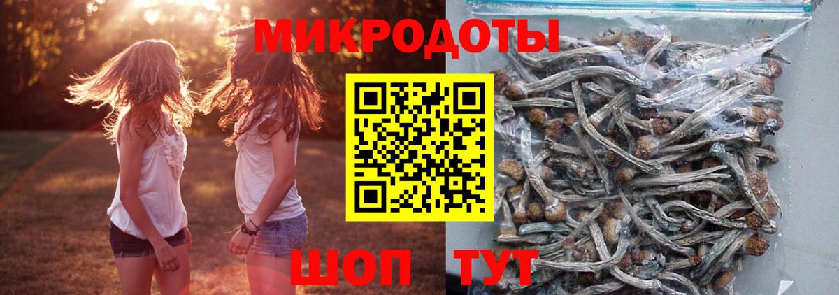 Павлово  Псилоцибиновые грибы прущие грибы  Вход с VPN 